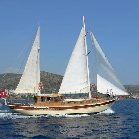 Boat Onelli